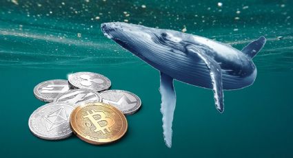 Las 3 criptomonedas que los inversores ballenas están comprando por potencial de crecimiento