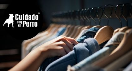 ¿Por qué Cuidado con el Perro está REMATANDO toda su ROPA en 20 pesos?