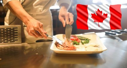 Empresa de Canadá lanza 2 VACANTES EN COCINA con sueldo de hasta 18 dólares por hora | REQUISITOS