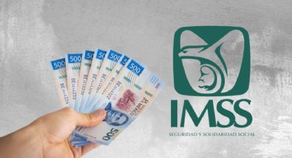 ¿Te quedaste sin trabajo? Así puedes solicitar el Retiro Parcial por Desempleo del IMSS