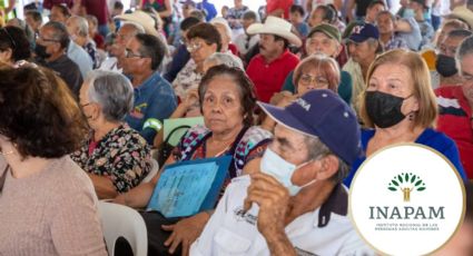 ¿INAPAM podría DESAPARECER al terminar el sexenio? Adultos mayores se quedarían sin estos beneficios