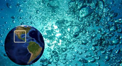 ¿Qué ocultan las aguas de la Bahía de Chetumal? Científicos realizan asombroso descubrimiento