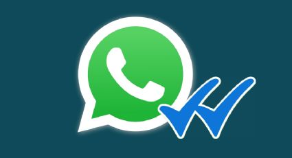 Truco para saber si leyeron tu mensaje de WhatsApp aunque hayan desactivado el doble check azul