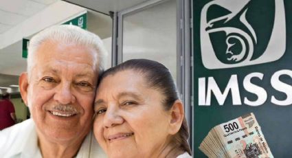 Pensión IMSS 2024: ¿Adelantarán pagos por la veda electoral? Esto es lo que se sabe