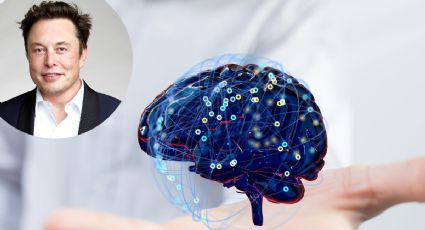 Neuralink de Elon Musk recibe autorización para realizar pruebas en cerebros humanos
