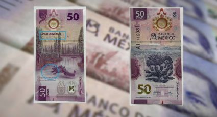 Billete del AJOLOTE vale casi UN MILLÓN de pesos en 2023 por este notorio ERROR