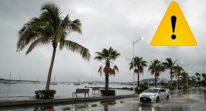 Confirman que Tormenta Beatriz impactará en estos ESTADOS durante las próximas horas | RUTA