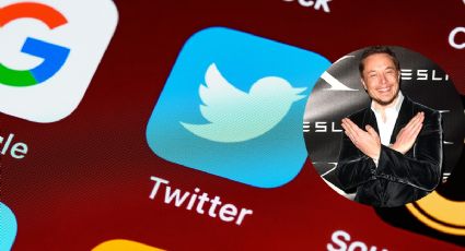 ¿Pajarito azul de Twitter desaparecerá? Musk apunta a nuevo logo