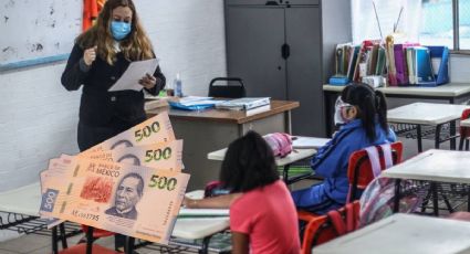 ¿Qué necesito para trabajar como maestro de primaria en la SEP? | Estos son los requisitos de 2024