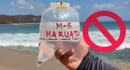 Vacaciones: Cofepris revela 14 playas no aptas para turistas