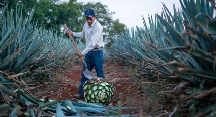 La nueva tendencia de personalizar tus botellas de tequila con lujosos cristales