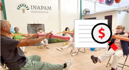 INAPAM lanza EMPLEOS en agosto para jóvenes que quieran liberar sus prácticas profesionales | REQUISITOS