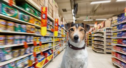 Este supermercado en CDMX ya te deja hacer la despensa con tu perro | UBICACIÓN