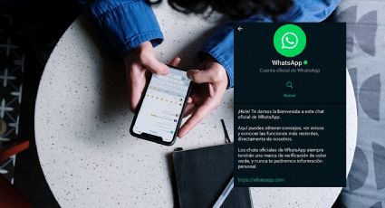 ¿Por qué WhatsApp te agregó como contacto y te está enviando mensajes en AGOSTO?