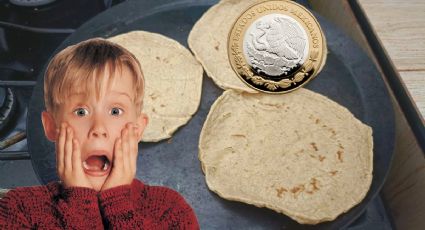 Estos son los 3 estados de México donde se vende más caro el kilo de tortilla | PRECIO