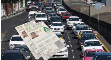 Estos son los 3 estados donde puedes tramitar la LICENCIA de conducir PERMANENTE