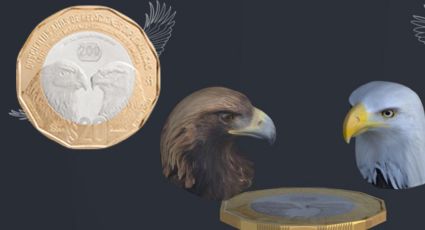 Monedas conmemorativas de 20 pesos: así puedes ver la increíble animación 3D en tu celular