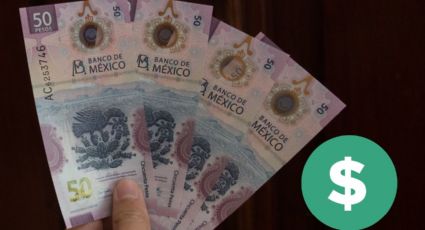 Estos son los precios de 2024 en los que puedes vender tus BILLETES del AJOLOTE en internet