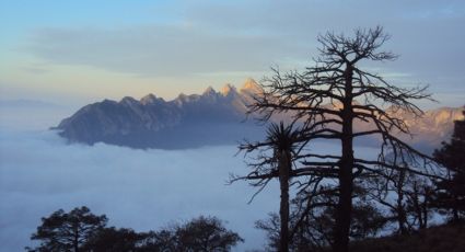 Cuarta tormenta invernal congelará a estos estados en México hoy 8 de enero de 2024