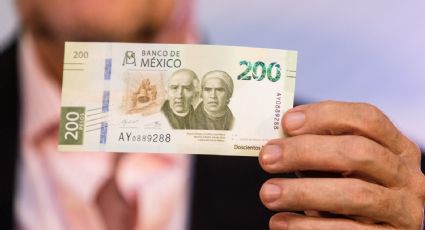 ¿En qué estados hay más billetes falsos y cuál es el ejemplar más falsificado en México en 2024?