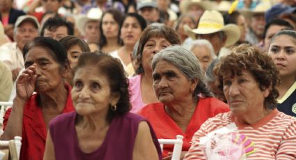 Pensión Mujeres Bienestar: ¿Cuántas interesadas han hecho el REGISTRO para pago de 3,000 pesos?