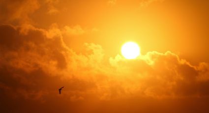 Sol experimenta raro fenómeno de potentes erupciones; estas son los graves efectos para la Tierra