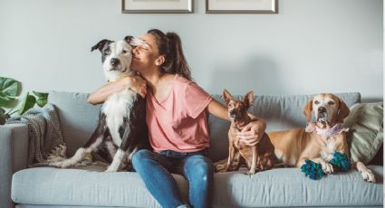 ¿Cuánto cuesta tener una mascota? Esto es lo que gastas en tu perrito o gatito, según Condusef