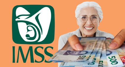 Pensión IMSS: ¿Qué pensionados y jubilados reciben un PAGO doble en noviembre y por qué?