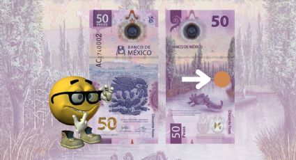 La 'mancha dorada' del billete de 50 pesos del ajolote que ahora cuesta 4 millones