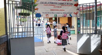 ¿Cuánto gana un director de primaria en 2024? | SUELDO quincenal