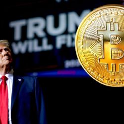 Bitcoin se dispara tras elecciones en EEUU; supera los 72 mil dólares HOY 5 de noviembre