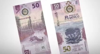 Así luce el BILLETE del AJOLOTE que vale 40 mil pesos por este error de impresión