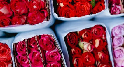 Revendedores de Costco ahora pelean por llevarse los ramos de flores para el 14 de febrero