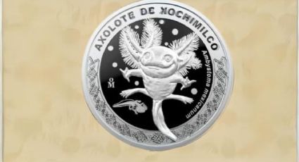 Monedas del ajolote: ¿Dónde comprar estas medallas de plata?