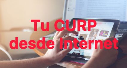 ¿Cómo sacar la CURP en internet de forma gratis y rápida?| Datos que necesitas