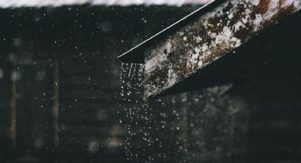 Conoce la cosecha de agua, una técnica para "producir" agua de la lluvia y la niebla