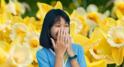 ¿Qué significa que te regalen flores amarillas? Así nació esta tradición