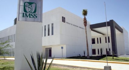 ¿Cómo saber desde cuándo estoy dado de alta en el IMSS? Guía paso a paso