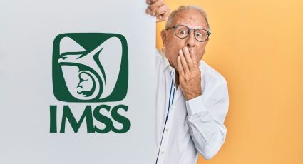 ¿Qué necesito para pensionarme por la Ley 73 del IMSS?| Requisitos 2024