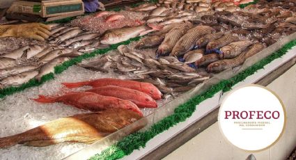 Cuaresma 2024: LISTA de pescados que puedes comprar por menos de 130 pesos el kilo