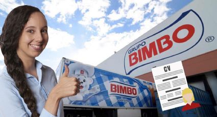 Bimbo lanza empleo en CDMX con sueldo de hasta 53 mil pesos | REQUISITOS