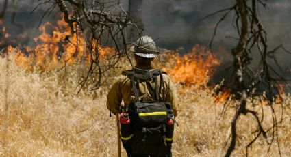 Estos son los incendios activos en México hoy 27 de marzo 2024| MAPA