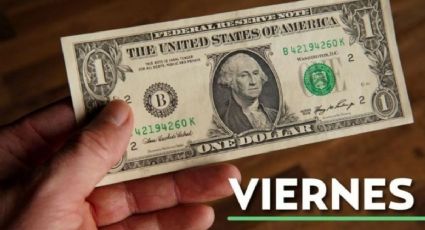 Precio del dólar hoy viernes 29 de marzo 2024: Así está el tipo de cambio en México