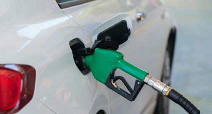 Gasolina en México: Gasolina Magna en más de 26 pesos, así están los precios este 1 de abril
