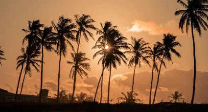 ¿Es el Fenómeno del Niño? Estos estados registran temperaturas arriba de los 40 grados hoy 12 de abril