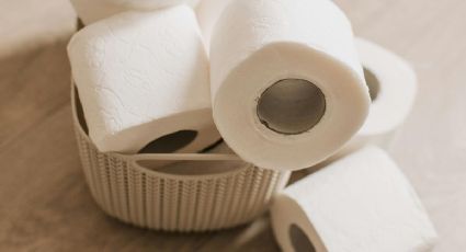 Descubre las marcas de papel de baño más resistentes, según Profeco