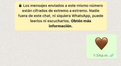 ¿Qué significa el corazón marrón en WhatsApp?