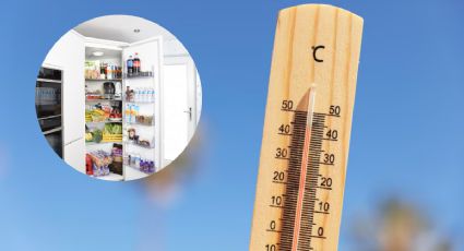 ¿Qué alimentos debes evitar en temporadas de calor? Esto dice la UNAM al respecto