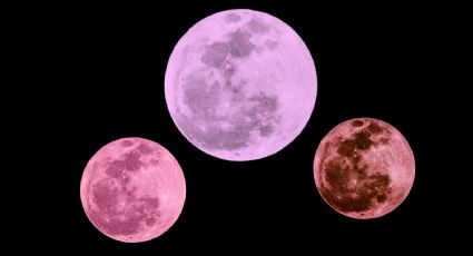 Así se vio la luna rosa desde CDMX| Imágenes