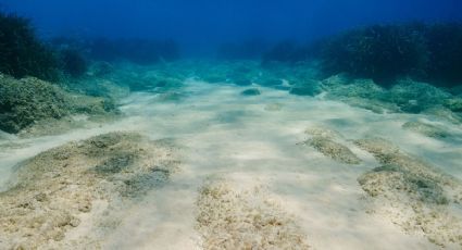 La razón por la que expertos no recomiendan explorar el fondo de mar